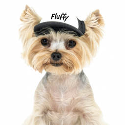Personalized Puplid Dog Hat